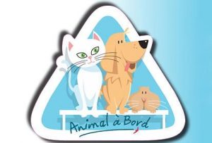 animaux_a_bord_voyager