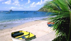 corossol_stbarth