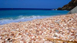 shellbeach_stbarth